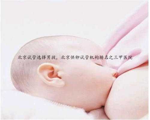 北京试管选择男孩，北京供卵试管机构排名之三甲医院