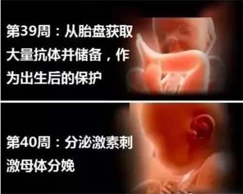 北京代孕哪里便宜_女方封闭性抗体不孕，听听北京试管座谈会专家怎么说-