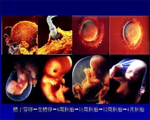北京生殖医院有供卵吗-代孕容易出现什么问题
