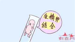 福州供卵包怀男孩,2023福州可以供卵试管机构有哪些，附供卵试管生男孩详细步